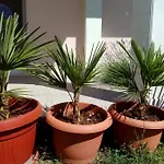 Sun Garden Apartment *