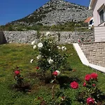 Sun Garden *