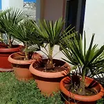 Sun Garden Apartment