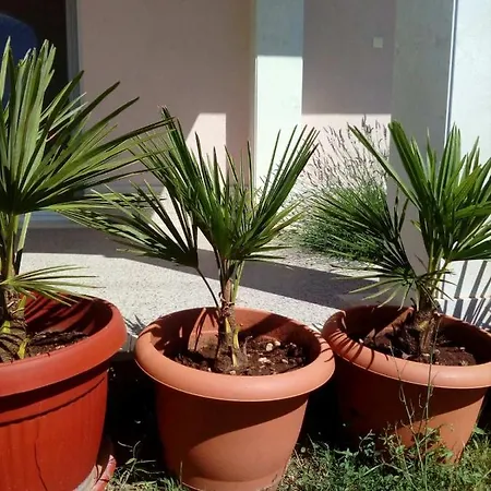 Sun Garden Apartment *