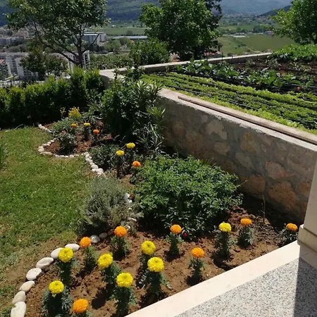 Sun Garden *