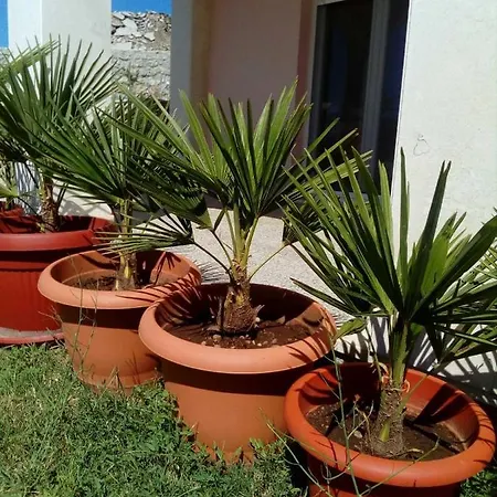 Sun Garden Apartmán